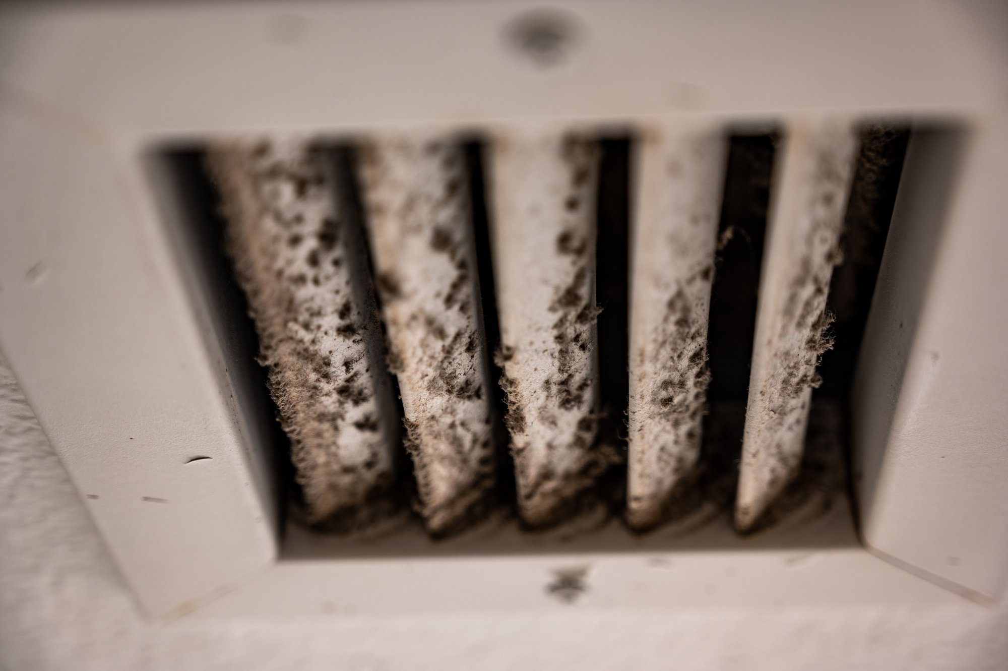 spore-spots-4-areas-of-your-home-most-at-risk-of-mold